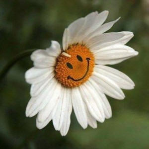 Merci de votre compréhension